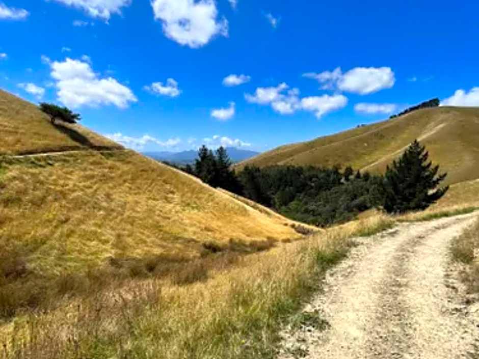 Ashleigh Court Motel