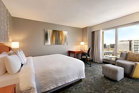 Guest room with 1 King Bed and City view