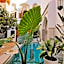 RIAD SAMAH