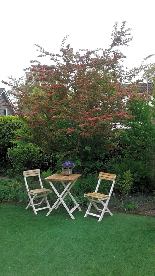 B&B Witvliet, kamers en studio met heerlijk ontbijt !
