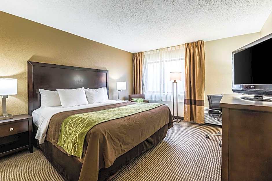 Comfort Inn Downtown