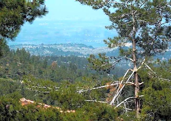 Zimmer NEVE ILAN Guest Accomodation