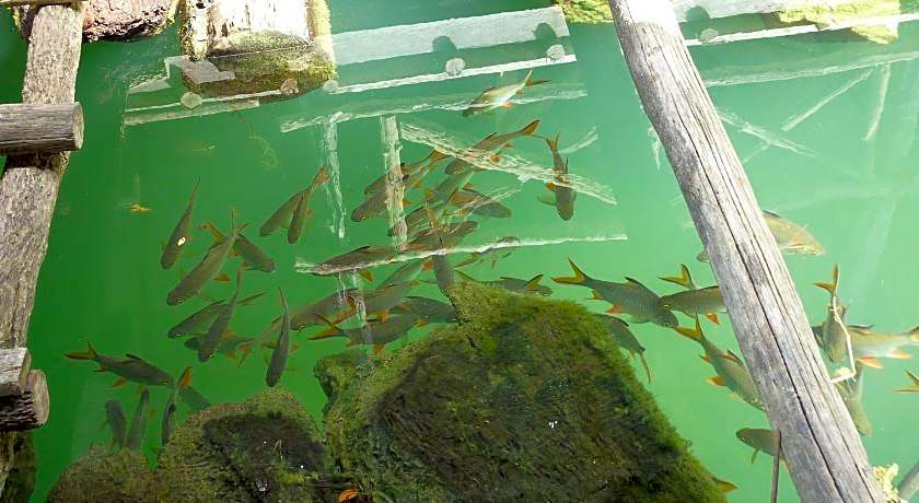 Baandin Chiewlarn Resort