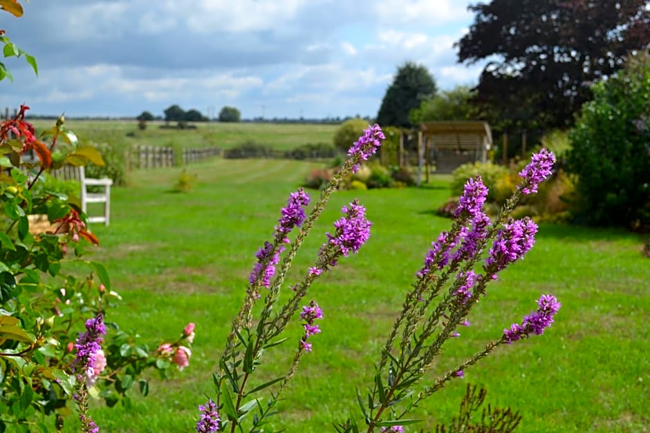 Two Hoots Bed and Breakfast