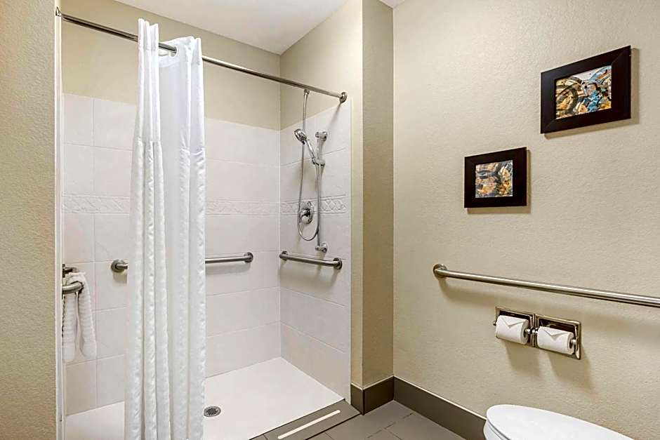 Comfort Inn South - Springfield