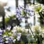 Hotel Villa Cipressi, by R Collection Hotels