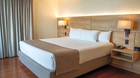 Deluxe King Suite
