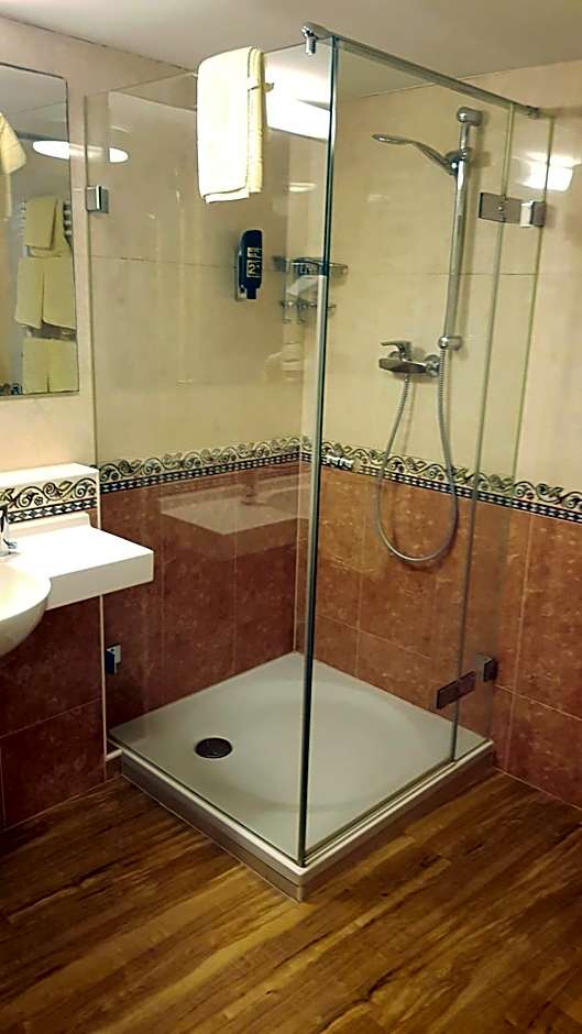 Villa Viktoria 1 - Apartments - City center