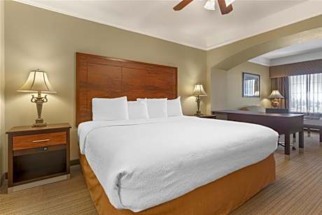 Suite-1 King Bed, Non-Smoking, High Speed Internet Access, Mini Suite, Sofabed, Microwave And Refrig