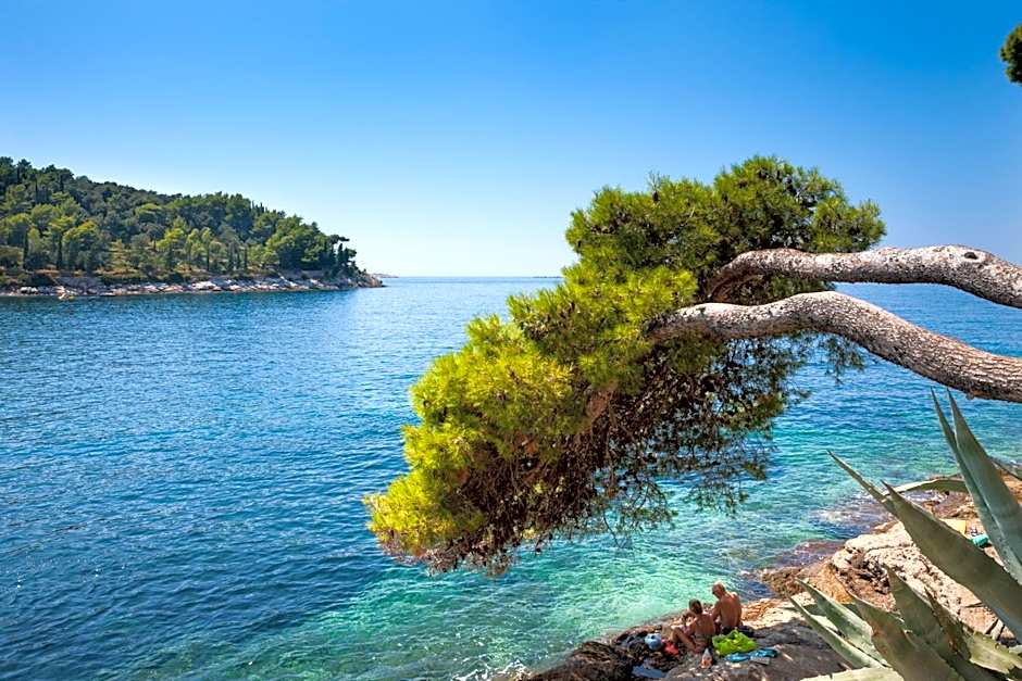 Remisens Hotel Albatros-All inclusive