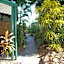 Rainforest Motel
