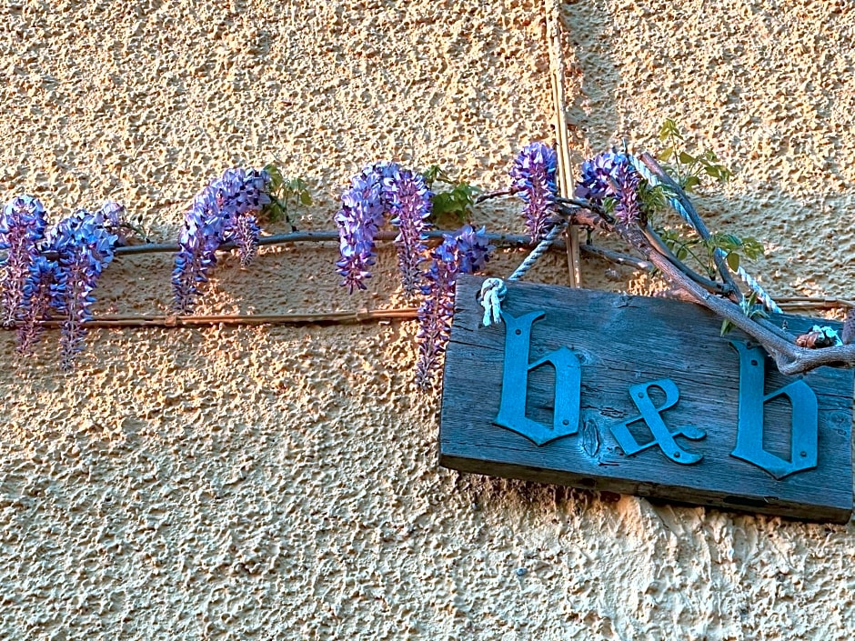 La casa tra i vigneti