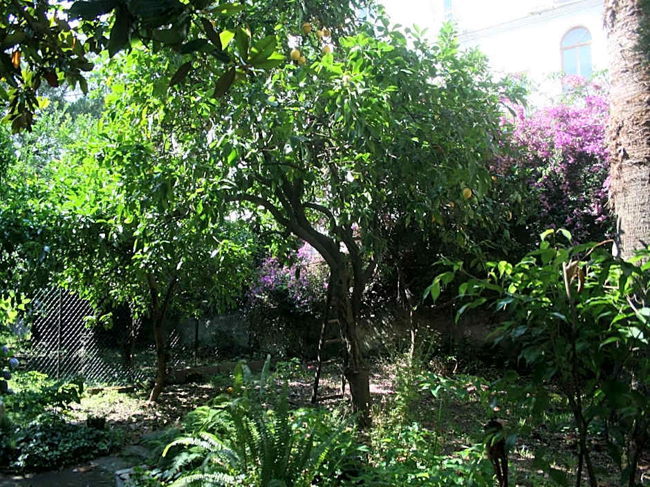 Il Giardino di Tonia - Oplontis Guest House - Bed & Garden -