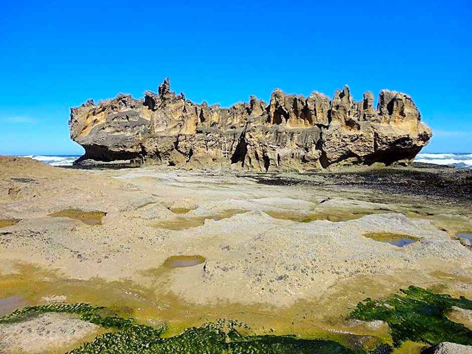 South Villa Guesthouse&Garden