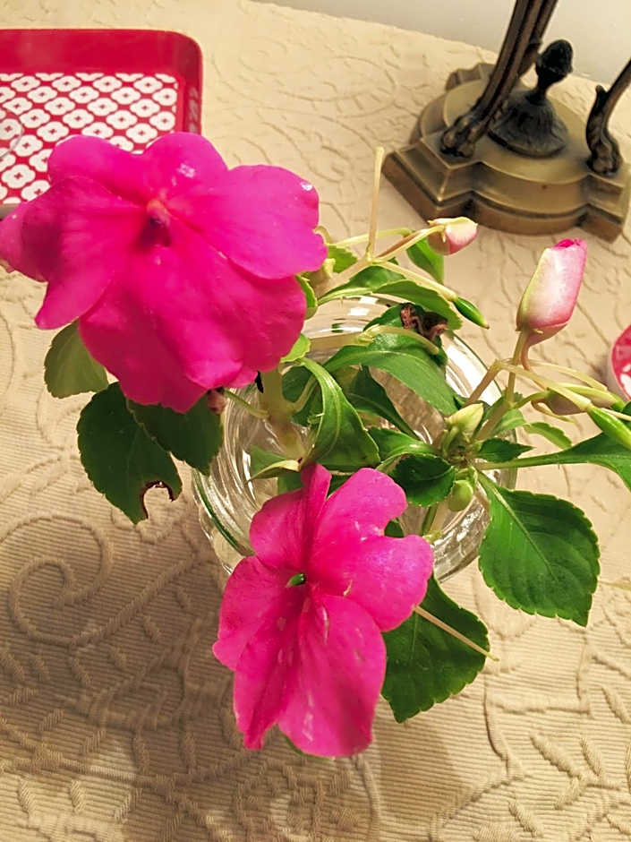 La Romance et la Romanesque