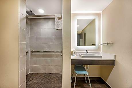 Accessible - 1 King, Mobility Accessible, Communication Assistance, Roll In Shower, Sofabed, Non-Smo