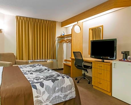 1 queen bed, suite, nonsmoking, accessible