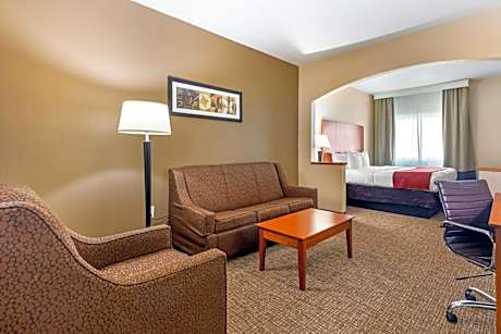 1 King Bed, Suite, Nonsmoking, Accessible