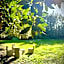 Villa La Dogana B&B di Charme - Historic Villa with a beautiful garden - private parking