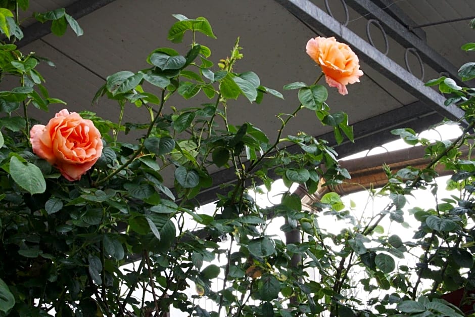 Mini suite alla Cascata