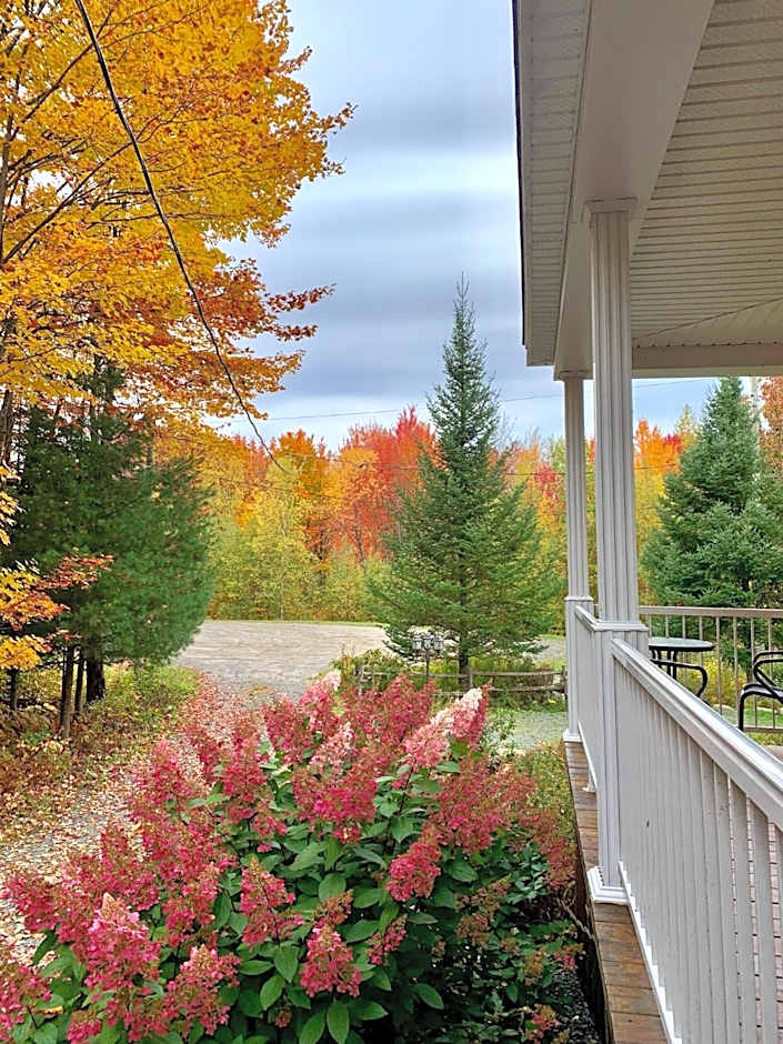 Au Gré Du Temps - Gîte B&B