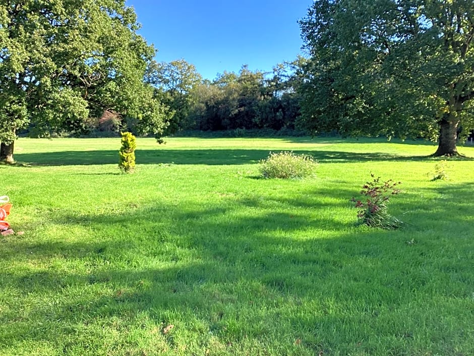 Vigo Retreat cabin 3