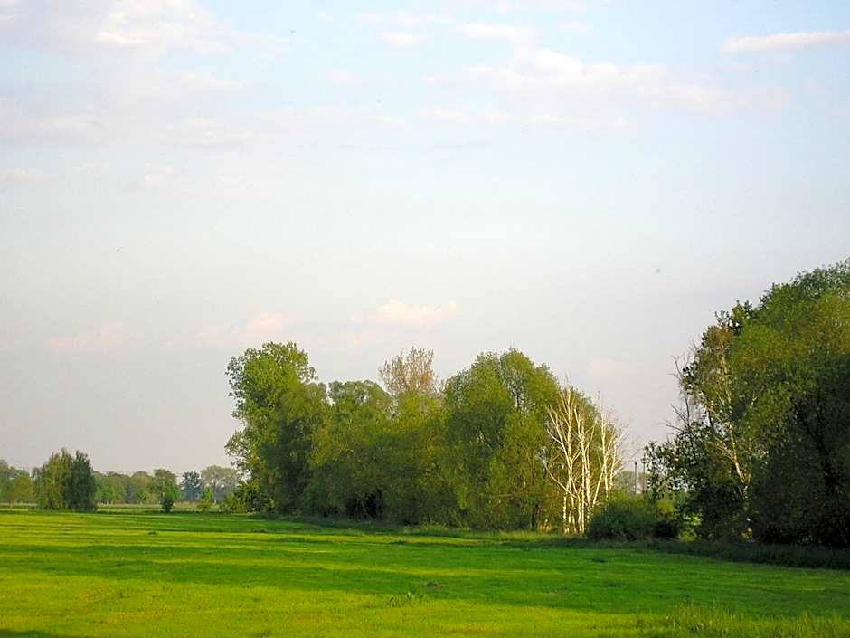 Parkhotel Schönewalde