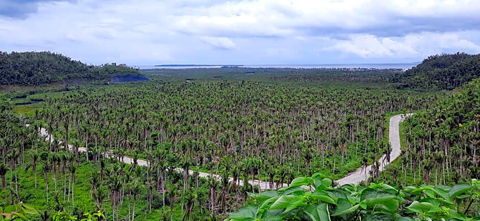 Dream Catcher Nipas Siargao