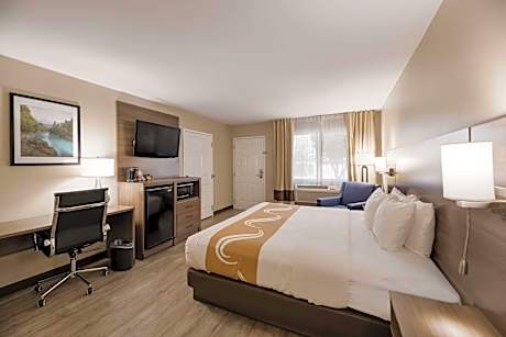 1 King Bed Nonsmoking Accessible