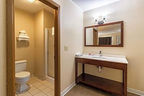 King Room - Non-Smoking