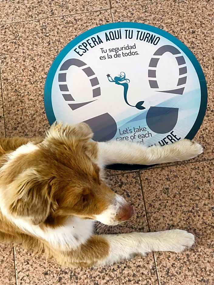 Hotel Leal - La Sirena