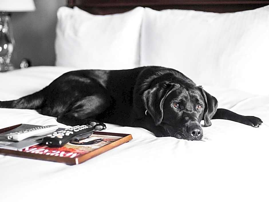 Fairmont Copley Plaza