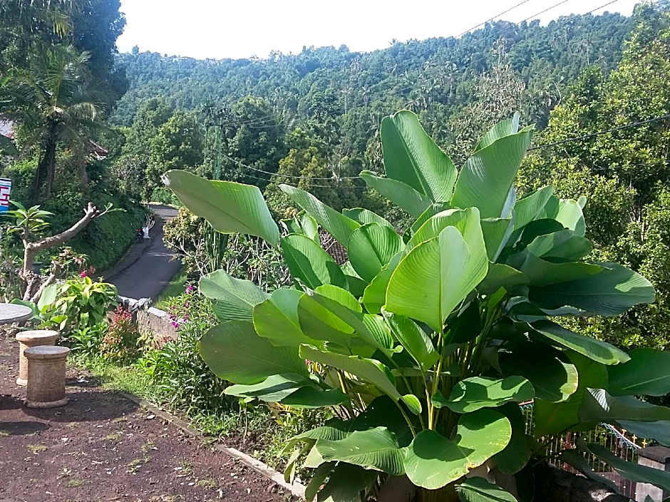 Gosela Homestay