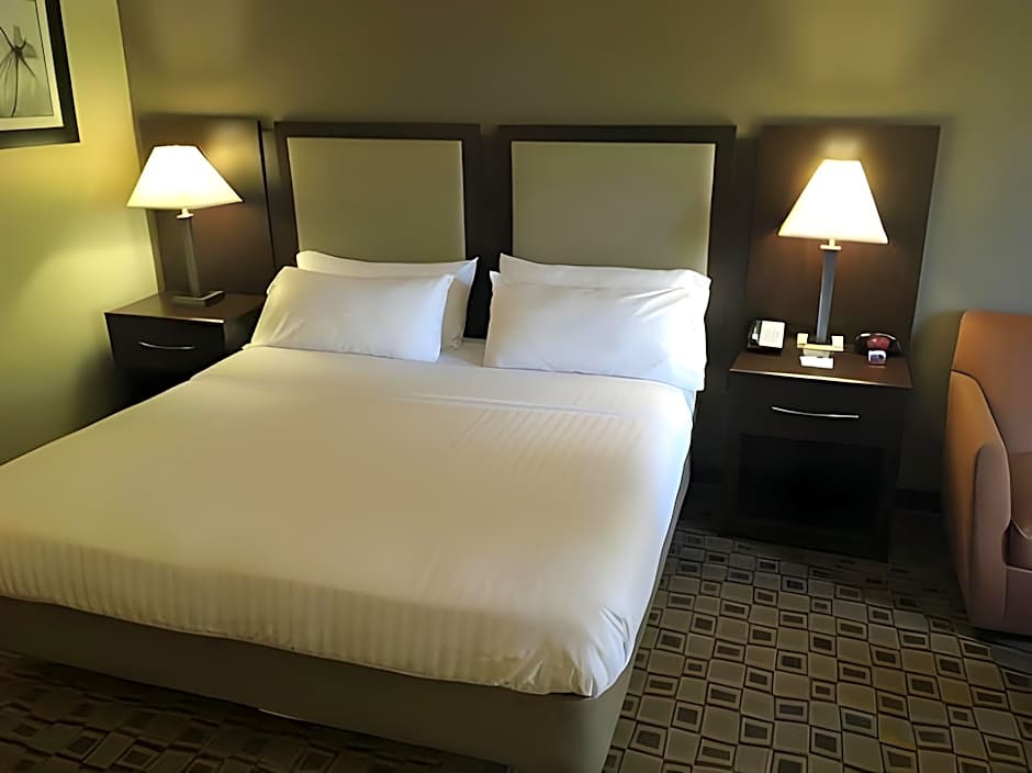 Holiday Inn Express Hotel & Suites Albemarle By IHG