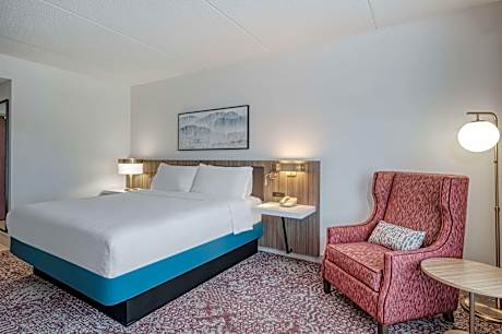 1 King Bed