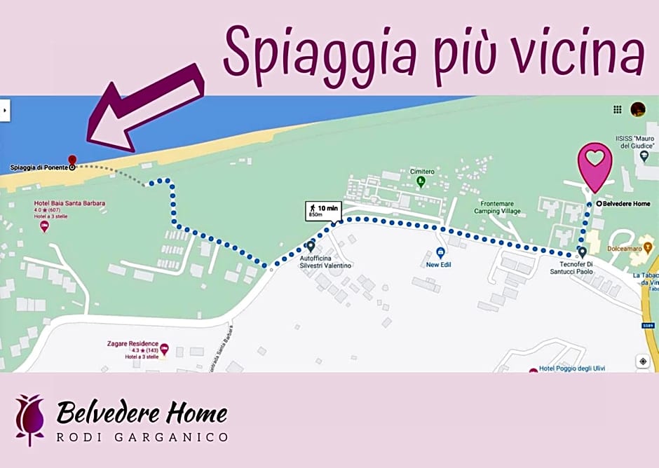 Belvedere Home