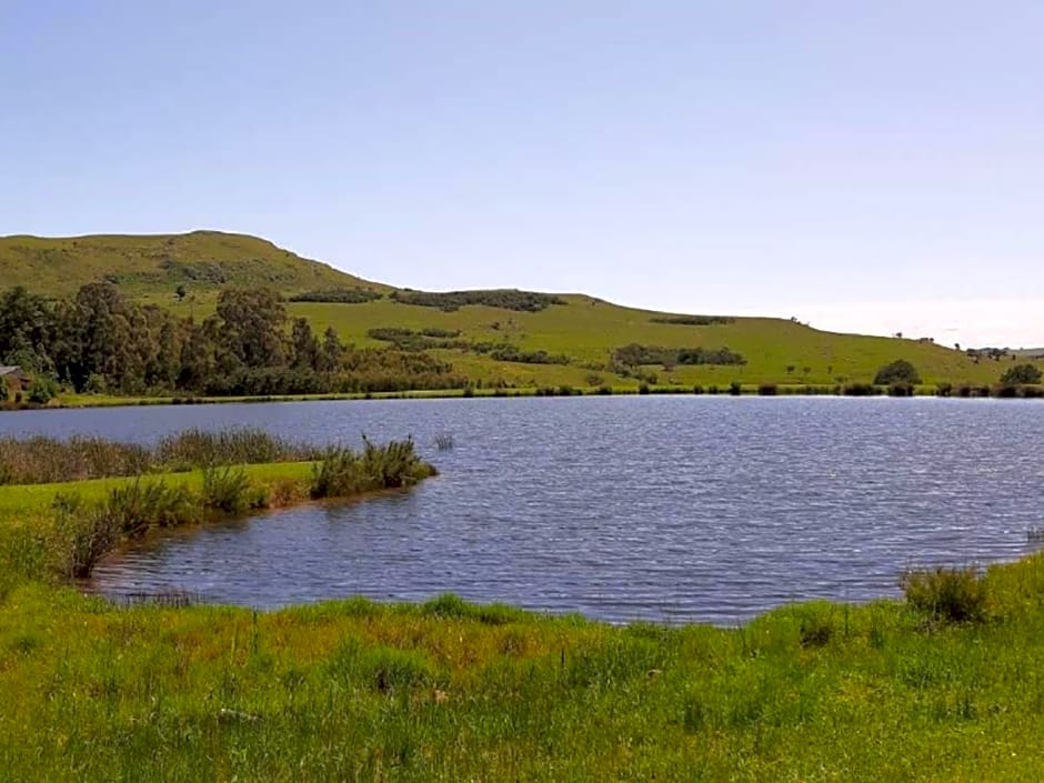 Amberley Mountain Reserve