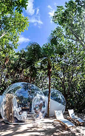 The Bubbles