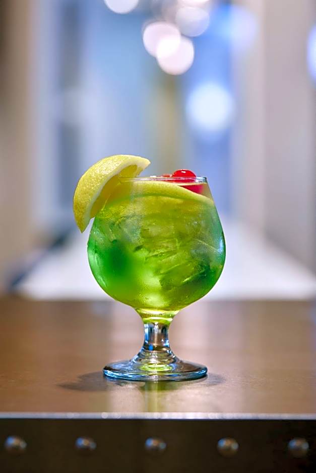 Sheraton Atlanta Perimeter North Hotel