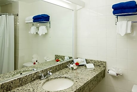 Standard Room King (1 King Bed)
