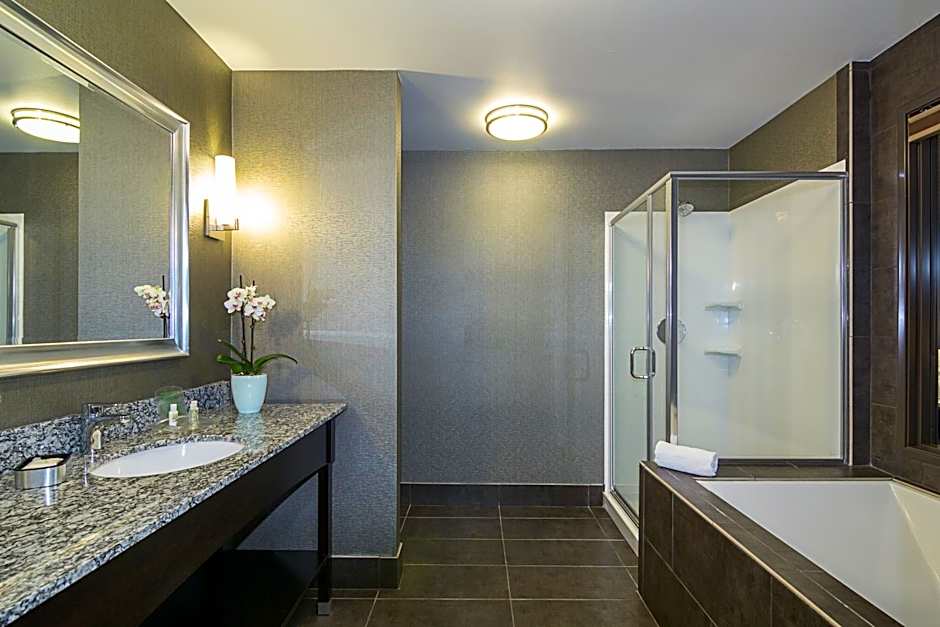 Holiday Inn Hotel & Suites Milpitas By IHG