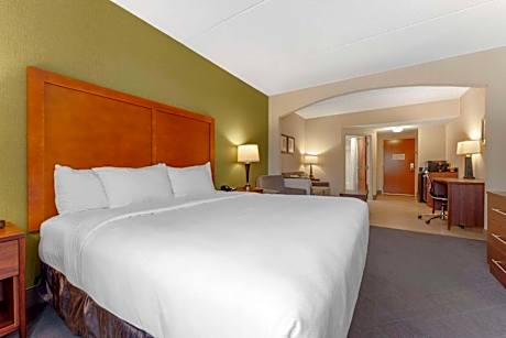 One-Bedroom Suite 1 King Bed- Non-Smoking