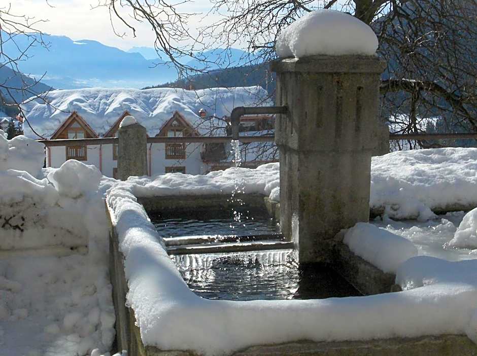 B&B Affittacamere Larix