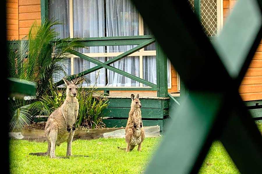 BIG4 Moruya Heads Easts Dolphin Beach Holiday Park
