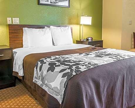 1 King Bed, Nonsmoking