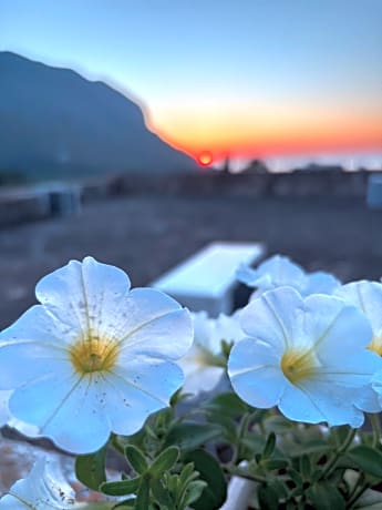 Bed And Breakfast Turi