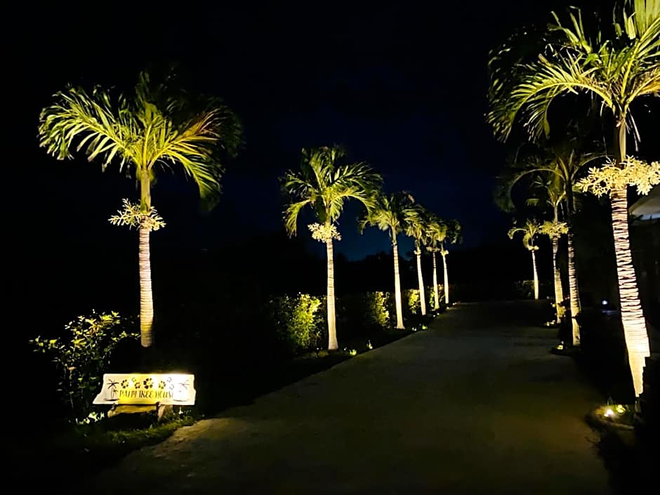 Palm Tree House Ishigaki - パームツリーハウス石垣