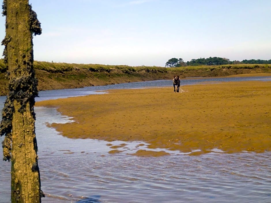 AnchorageWells Entire Cottage OR a King Ensuite on Room Only