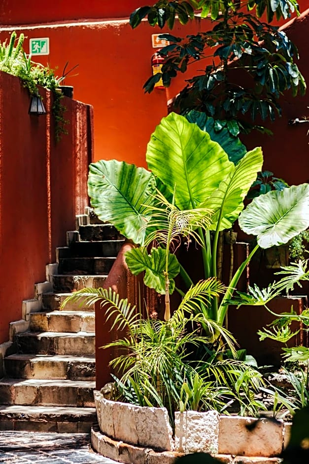 Casa Luna Hotel Boutique