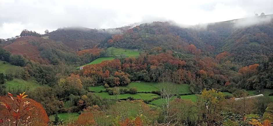 Albergue Olasenea Aterpea